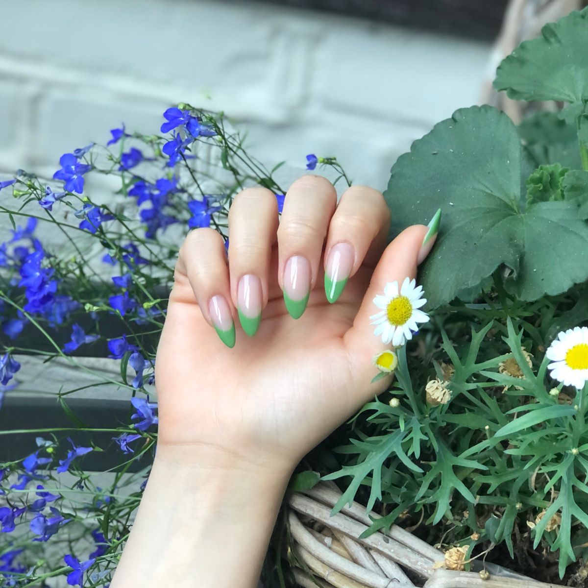 GARDEN GREEN