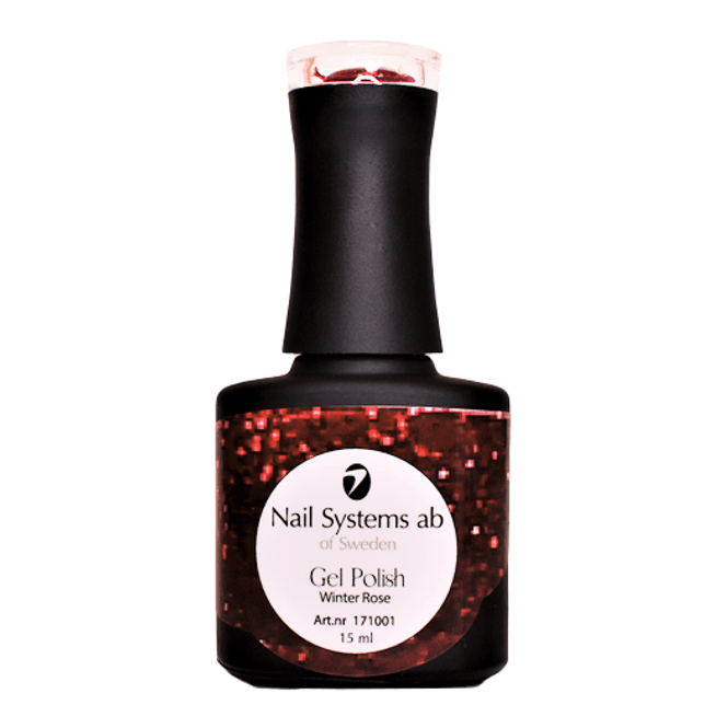 Hovedbilde WINTER ROSE